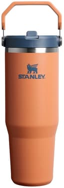 Anúncio: Copo Térmico com bico Stanley Flip Straw Tumbler 10-12043-295 (887mL) Toast