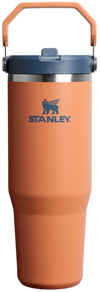 Copo Térmico Stanley Flip Straw Tumbler 10-12043-295 887mL Toast