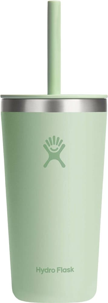 Copo Térmico Hydro Flask T20PSC338 (591mL) Aloe