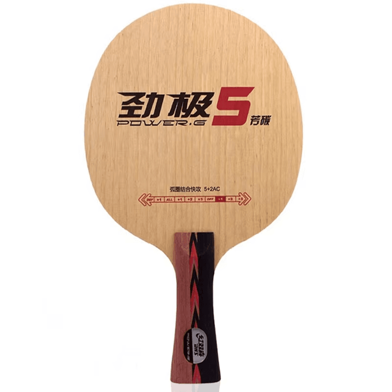 Raquete de Ping Pong Dhs Pg5
