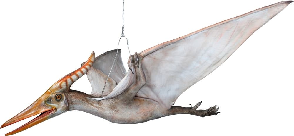 Dinossauro Animatrônico My Dinosaurs Pterosaur Md-13