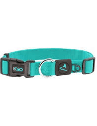 Coleira Doco de Nylon para Cachorro Celeste Tam. Xs