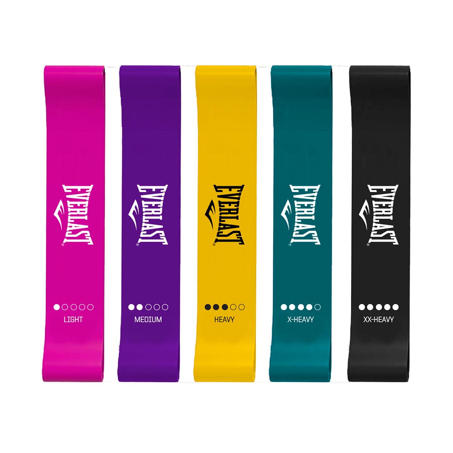 Conjunto de Ligas de Resistência Everlast EVMB1W550