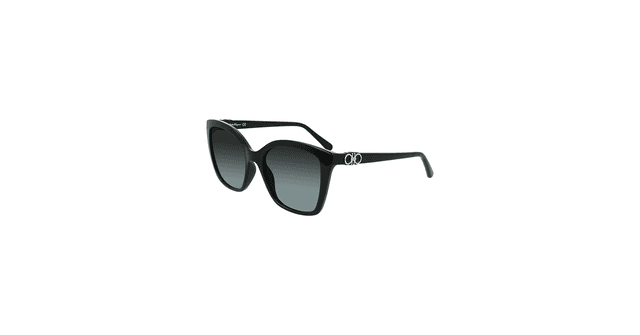 Óculos de Sol Ferragamo Lente SF1026S 5419/001