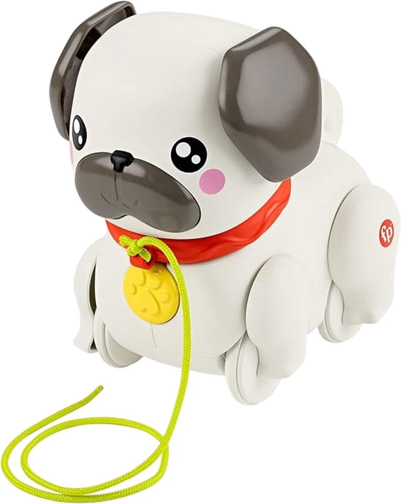 Brinquedo Fisher-Price Paseia Comigo - Htw94