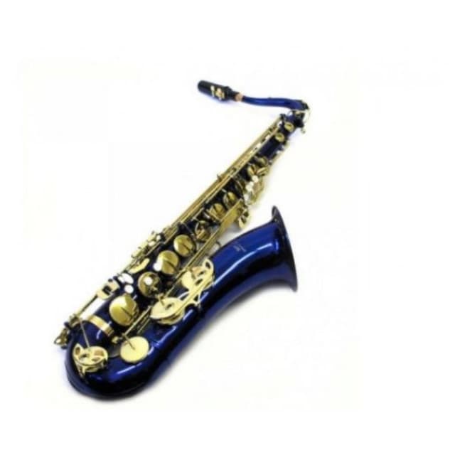Sax Alto Fontai Ft 6430 Bln Dourado/Azul