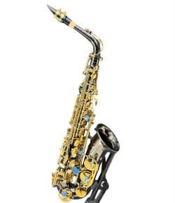 Saxofone Alto Preto Fontai