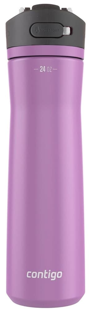 Garrafa Térmica Contigo Ashland Chill 2.0 709mL - Pansy