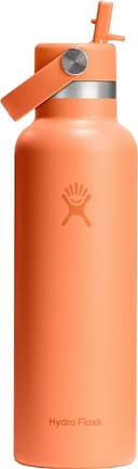 Anúncio: Garrafa Térmica Hydro Flask S21CFS690 (621mL) Nectar Orange