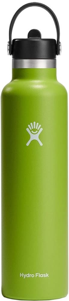 Garrafa Térmica Hydro Flask S21FS321 621mL - Verde