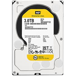 HD Western Digital Wd Re Enterprise-Class 3TB 7200RPM 64MB WD3000FYYZ