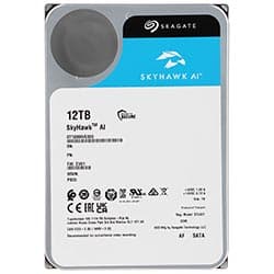 HD Seagate 12TB SkyHawk AI Surveillance 3.5" SATA 3 7200RPM - ST12000VE003 (GARANTIA BR)