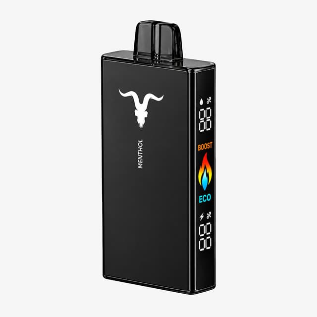 Vape Ignite V250 Black 25000 Puffs Menthol