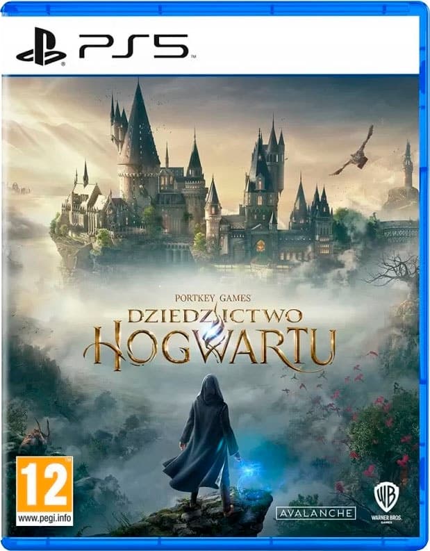Jogo Hogwarsts Legacy Ps5