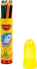 Anúncio: Lápis de Cores Triangular Keyroad - KR972228 (12 Pcs)