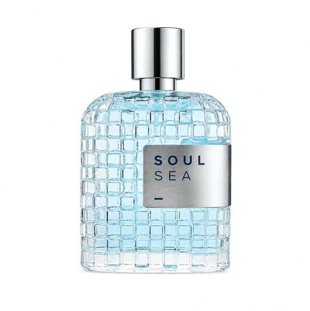 Perfume Lpdo Soul Sea Eau de Parfum Intense 100ml