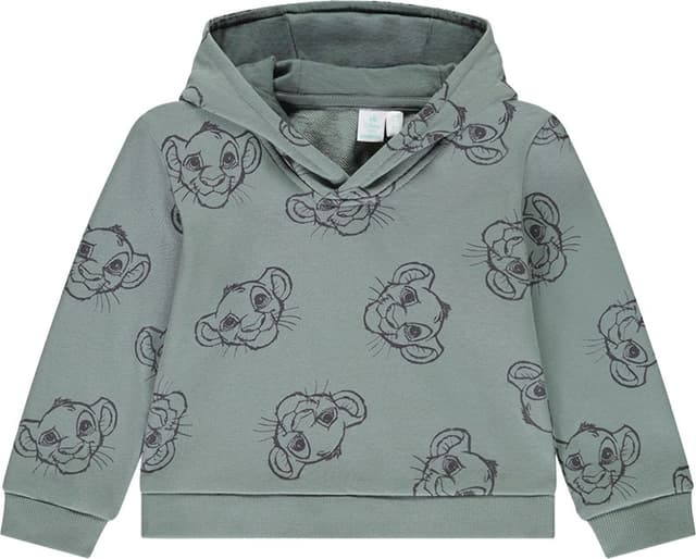 Moletom com Capuz Masculino Orchestra Hlanlf-Vem