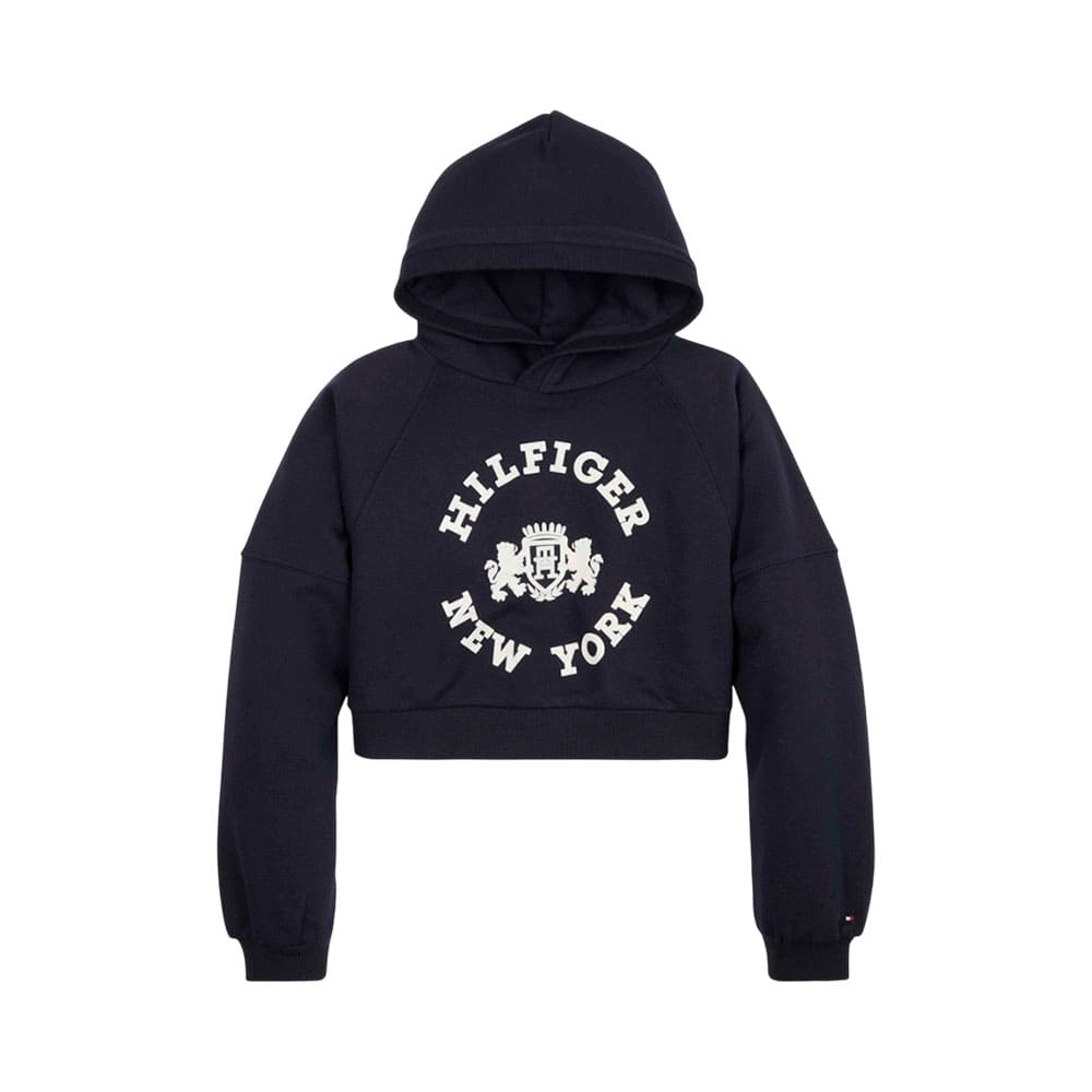 Moletom Infantil Tommy Hilfiger
