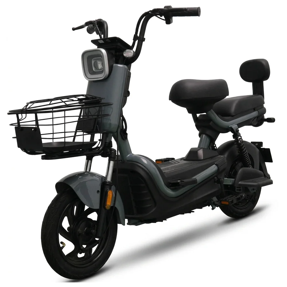 Moto Elétrica Tailg Jk30 500W 32km/h Cinza
