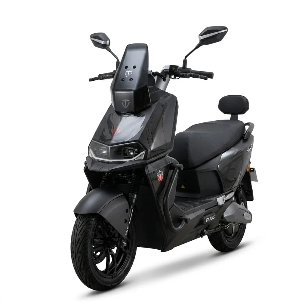 Moto Elétrica Tailg T73 1000W 32km/h Preta