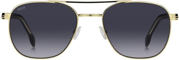Óculos de Sol Hugo Boss Feminino 1723/S Rhl 9O