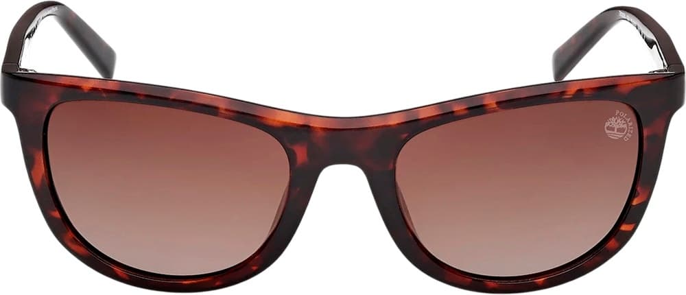 Óculos de Sol Timberland TB00058 52H 56 Masculino