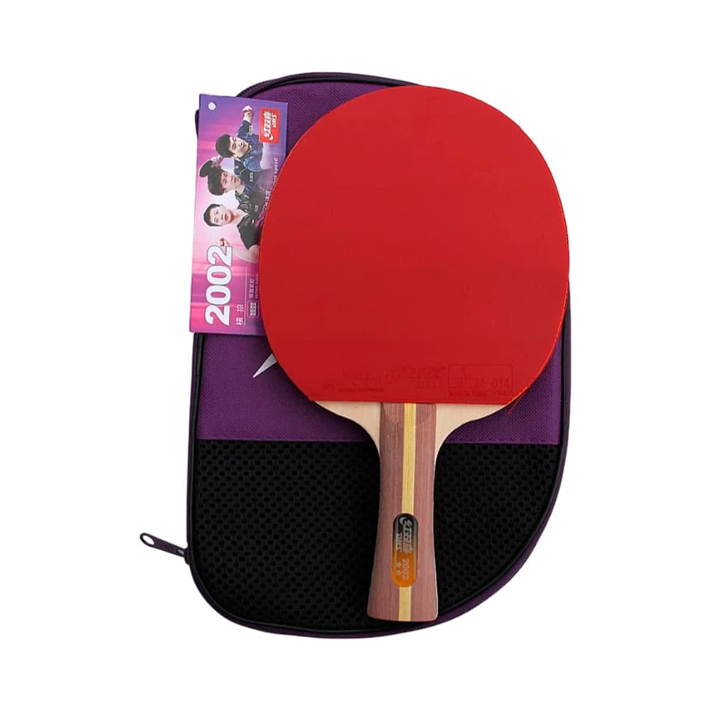 Paleta de Ping Pong Dhs H2002