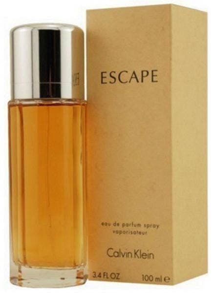 Perfume Calvin Klein Escape Eau de Parfum 100ml Feminino