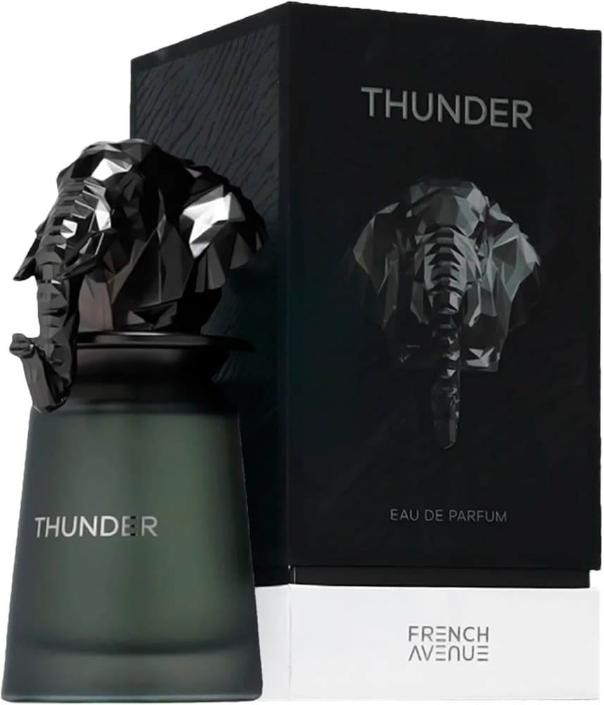Perfume Fragrance World French Avenue Thunder EDP 100ml Masculino