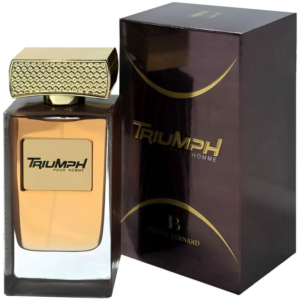 Perfume Pierre Bernard Triumph Pour Homme Eau de Parfum 100ml