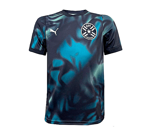 Camiseta Puma Inf Apf Paraguay 69704001 (T) 10