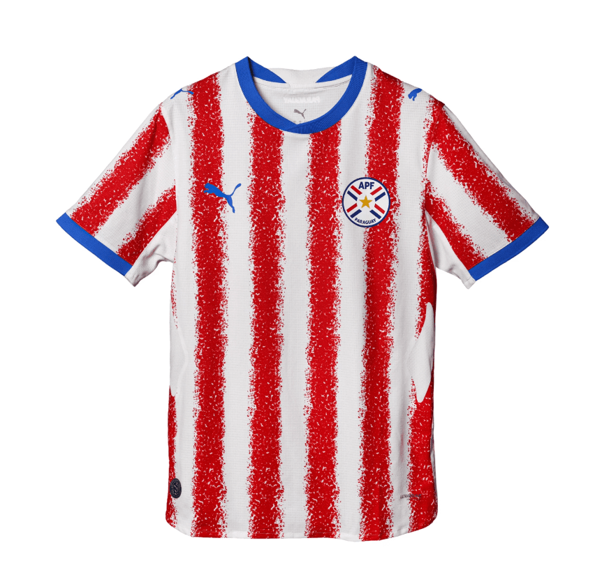 Camiseta Puma Apf Paraguay 697015 01 (T) S
