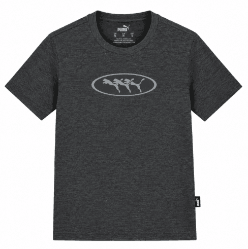 Puma Remera Masc Graphics T-shirt 692226A04 (l) Gris Oscuro