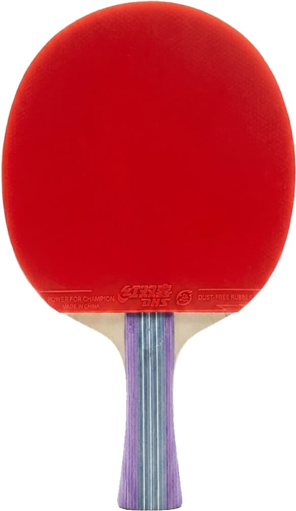 Raquete de Ping Pong Dhs I-L 200023