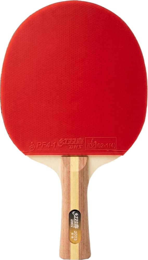Raquete de Tênis de Mesa Dhs H2003