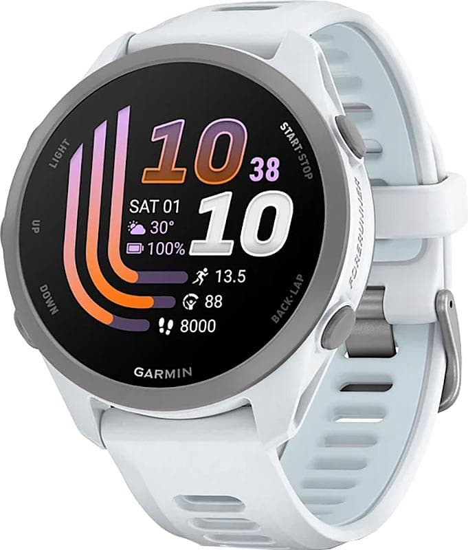 Relógio GPS Garmin Forerunner 170 Music Whitestone