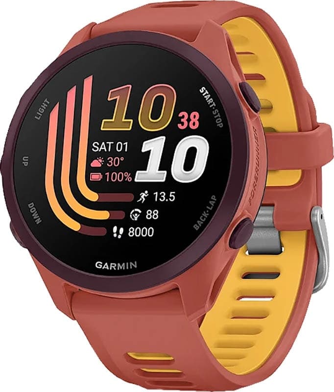 Relógio GPS Garmin Forerunner 170 Music - Vermelho Rosa