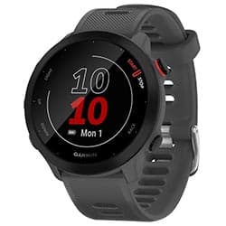 Smartwatch Garmin Forerunner 55 Graphite