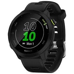 Relógio Smartwatch Garmin Forerunner 55 Preto (010-02562-10)