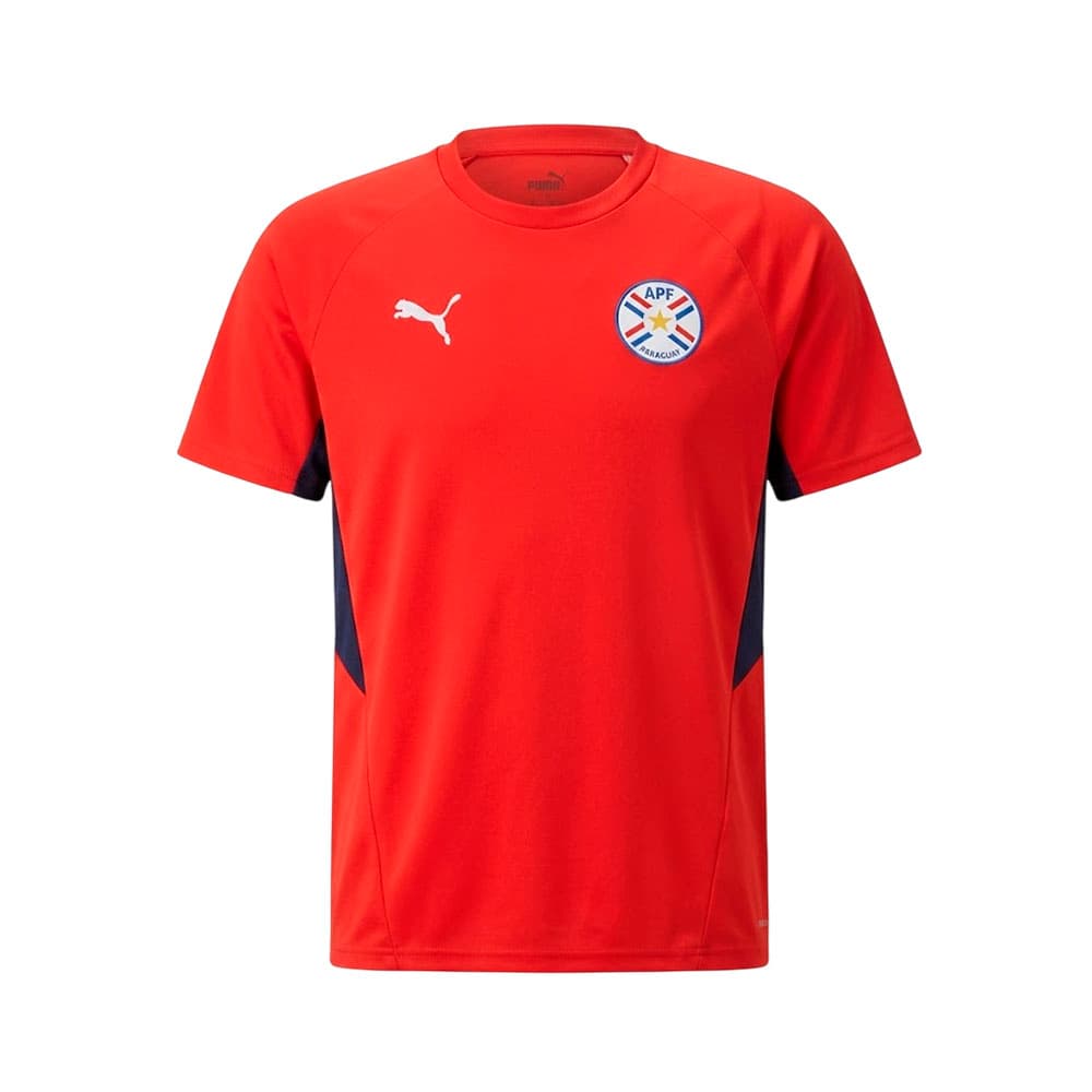 Camiseta Puma 69704101 Apf Masculino