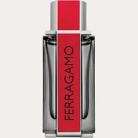 Perfume Salvatore Ferragamo Red Men Eau de Parfum 100ml