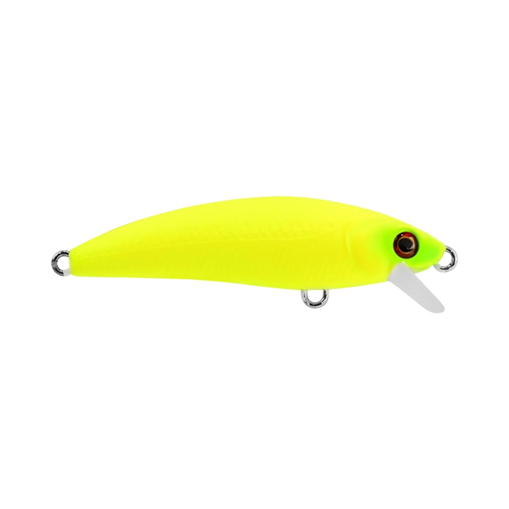 Isca Marine Inna 50 Cor 24