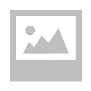 Carregador Veicular Smart Vision D29 Preto