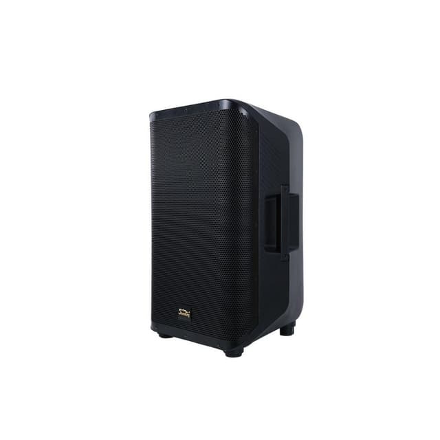 Caixa de Som Soundking Y12P