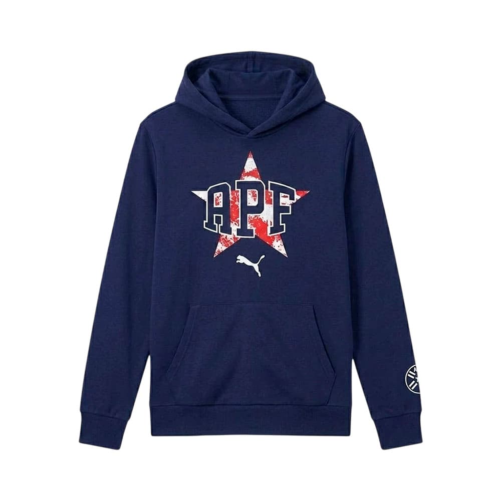 Moletom Puma 69702901 Apf Masculino