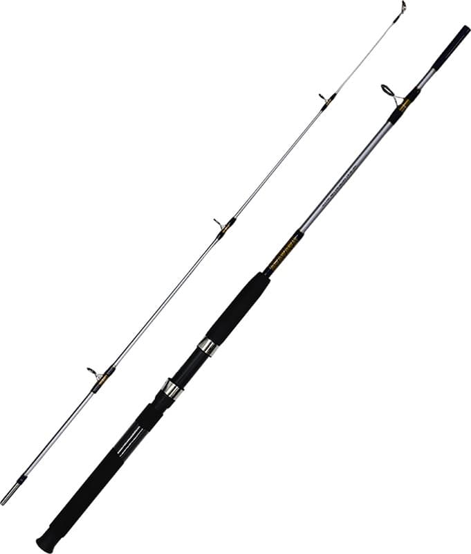 Vara Century Dynamica Tdm-19002 1.90M 15-30LB 2 Partes (Molinete)