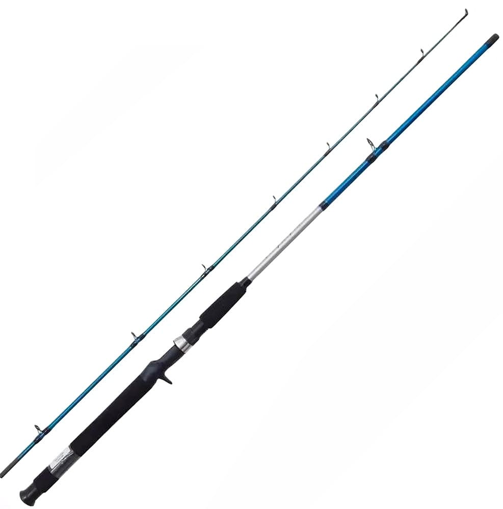 Vara de Pesca Shimano Cruzar CRZAXFGB2662B 2.10M 10-20LB 2 Partes (Molinete)