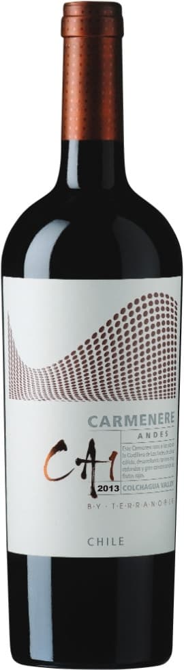 Vinho Terranoble Ca1 Carmenere Andes 2013