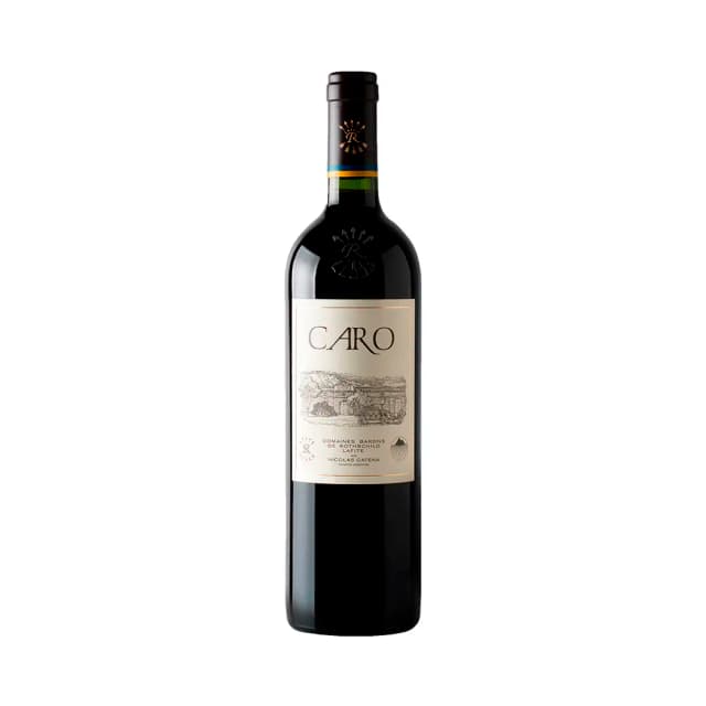 Vinho Bodegas Caro Caro Malbec 750ml