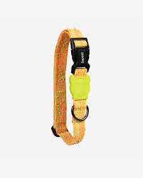 Coleira para Pet Zeedog AirTag Extra Small Collar Bikr